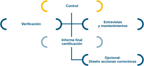 grafico-auditorias-covid-19-03