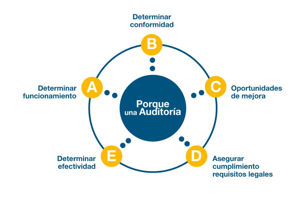 Grafico auditorías SGPRL
